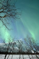 B394837B-210B-449D-B1D3-BB669A7F8259.jpeg