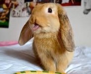 IMG_1719.jpeg