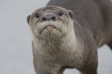 IMG_1720.jpeg