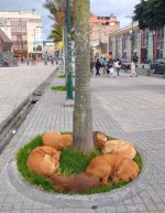 IMG_1723.jpeg