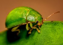 IMG_1726.jpeg
