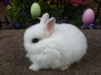 IMG_1746.jpeg