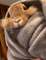 IMG_1751.jpeg