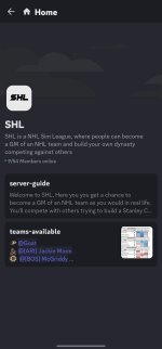 SHL - Sim Hockey League.jpg