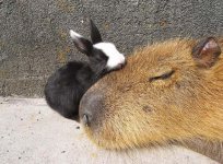 IMG_1757.jpeg