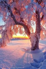 IMG_1756.jpeg