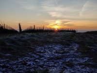 IMG_1759.jpeg