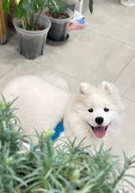 IMG_0047.jpeg