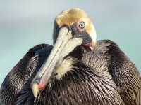 IMG_0049.jpeg