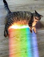 IMG_0056.jpeg