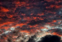 IMG_0055.jpeg