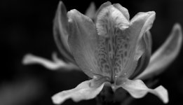 IMG_0054.jpeg