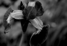 IMG_0058.jpeg