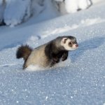 IMG_0089.jpeg