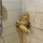 IMG_0091.jpeg